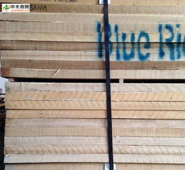 伍福春木业 品质木材的专业供应商，尽在中木商网