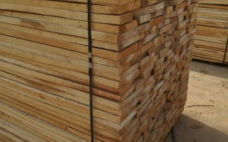 伍福春木业 高清图片、产品效果图与更多精美木材贴图全览